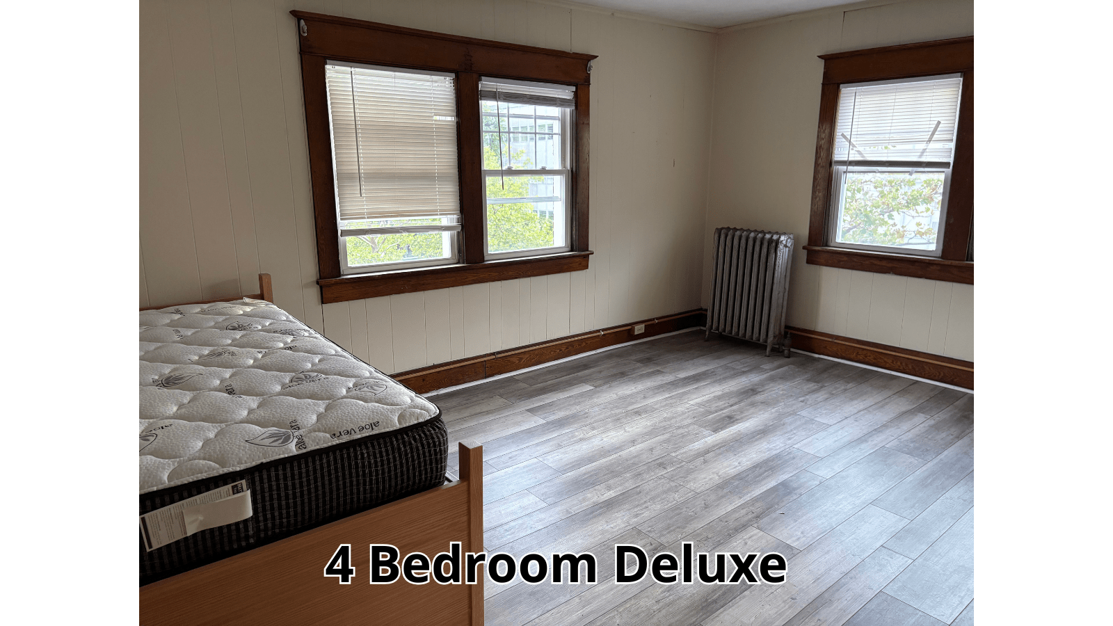 Bedroom with bed, windows, and radiator