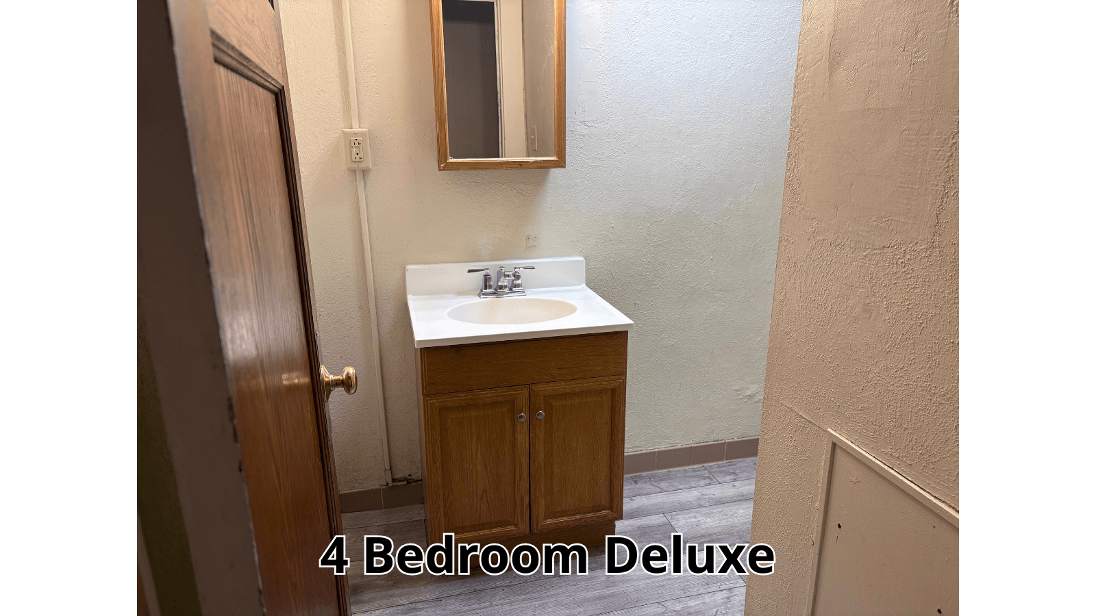 Bathroom vanity with mirror and door