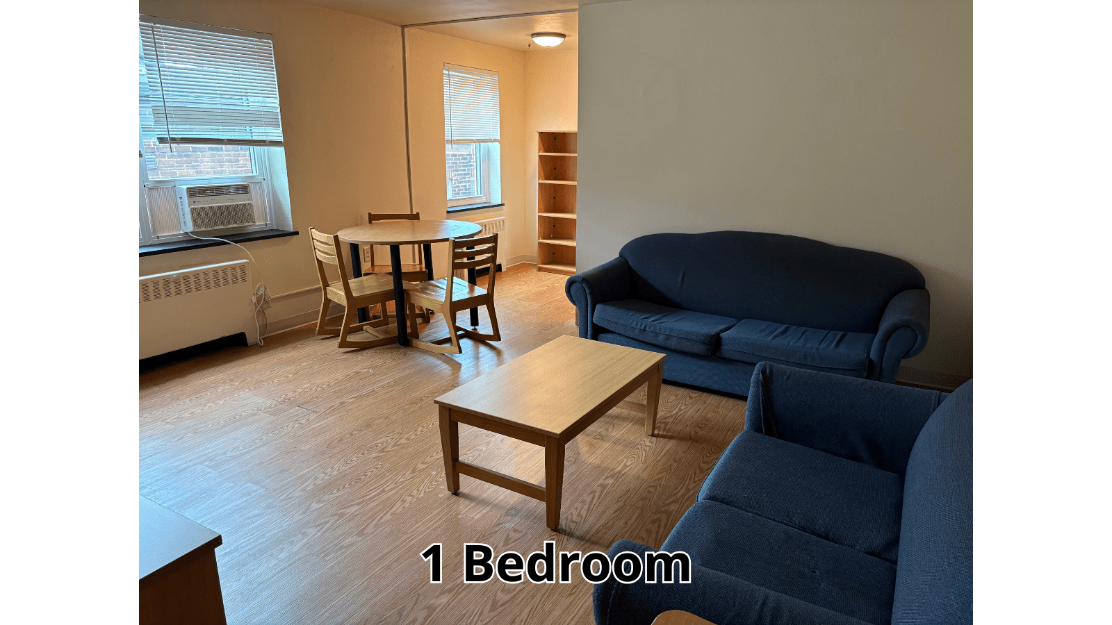 1 Bedroom apartment living room with furniture