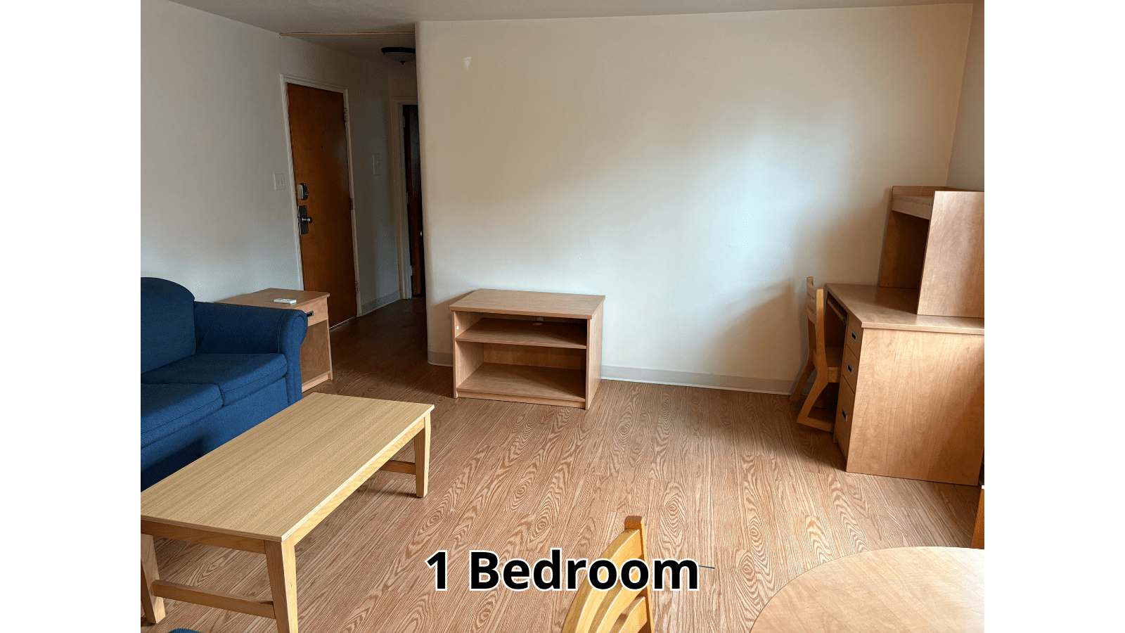 1 Bedroom apartment living area with sofa, desk