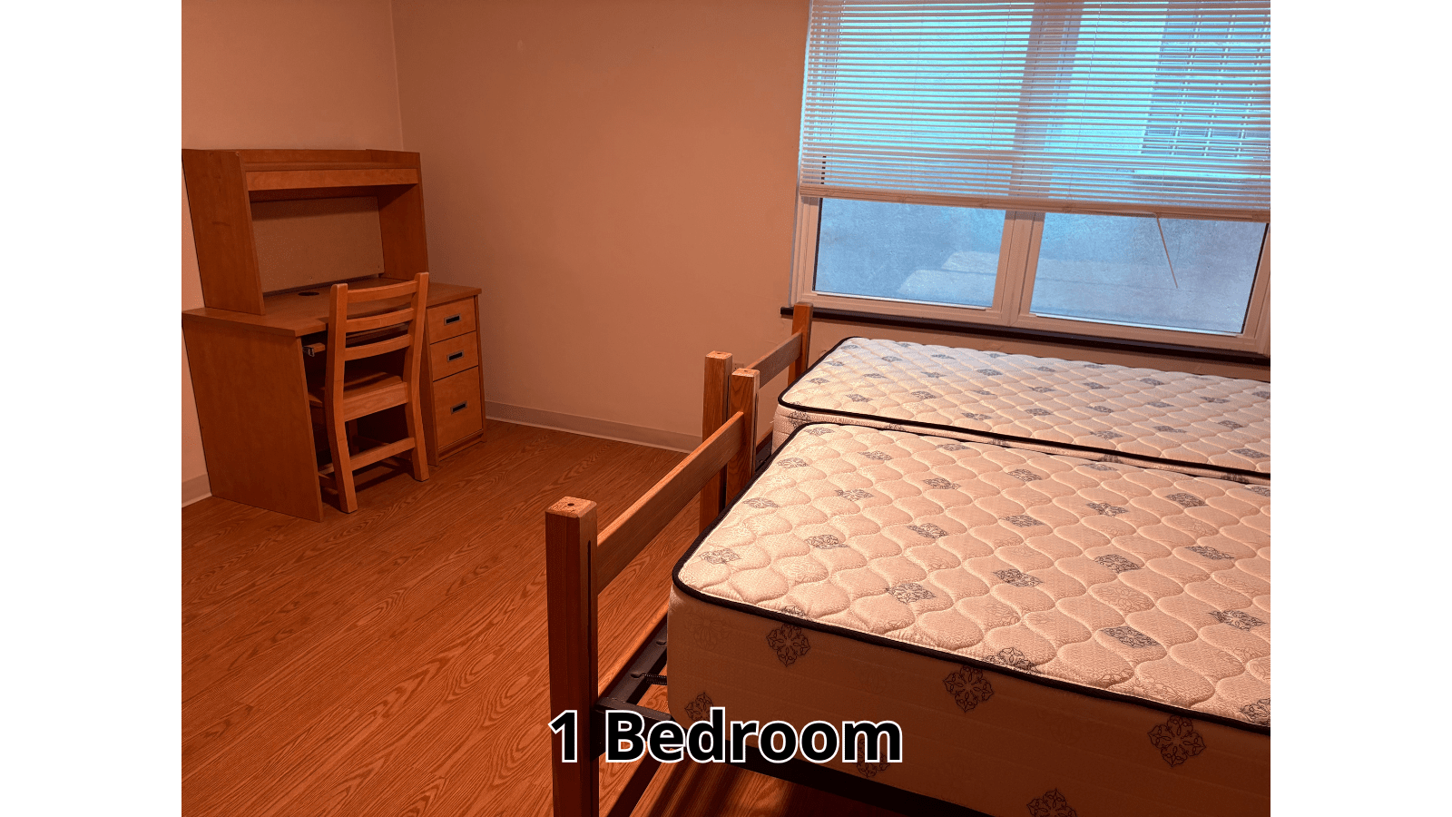 Two beds and desk in a bedroom