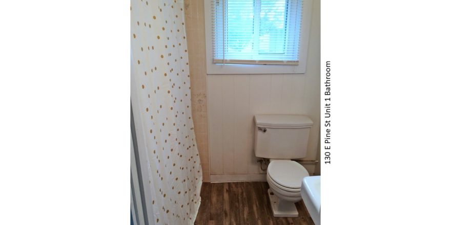 Bathroom with wood-style floor, toilet, shower with curtain, and window