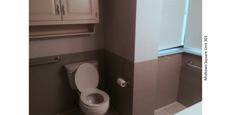Bathroom with toilet and cabinetry