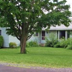 Exterior of house