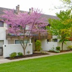 Exterior of duplex