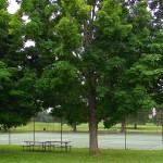 Tennis court