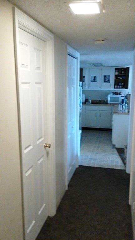 Door and kitchen