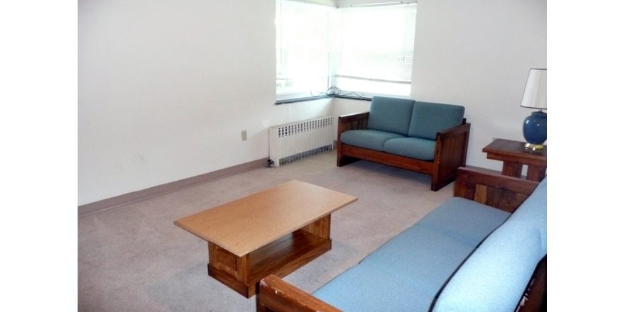 Carpeted living room with wood furniture