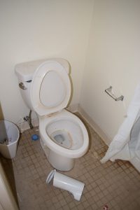 Toilet before