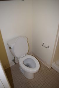 Toilet after