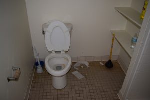 Toilet before