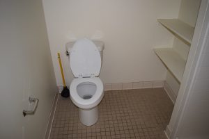 Toilet after