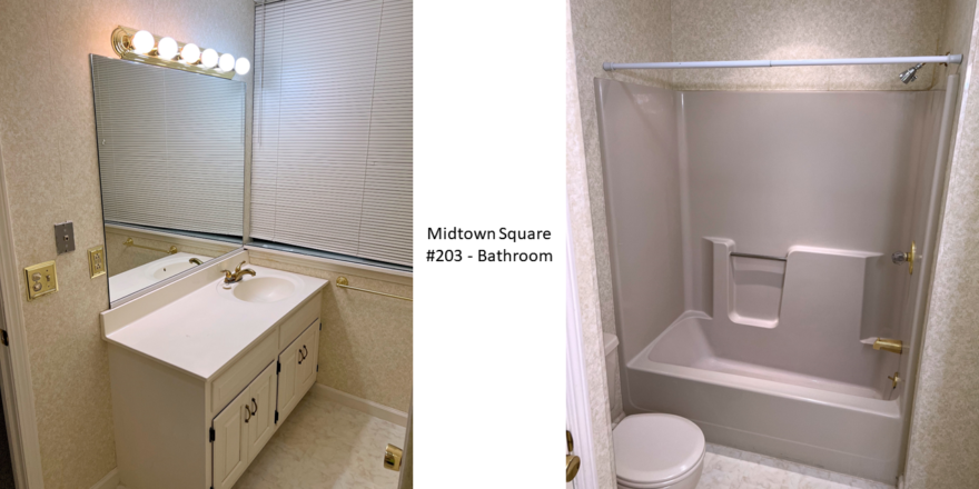 Bathroom with vanity, mirror, toilet, tub shower combo and window