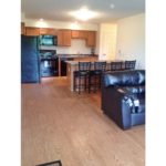Living room and kitchen
