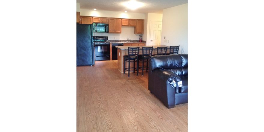 Living room and kitchen