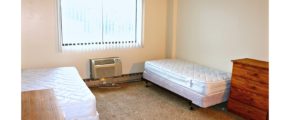 Carpeted bedroom with two twin beds and wooden chests of drawers