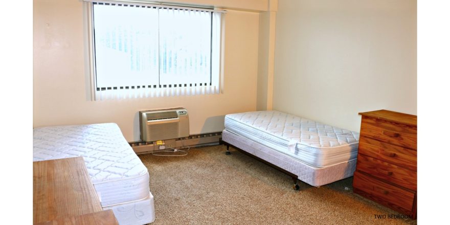 Carpeted bedroom with two twin beds and wooden chests of drawers