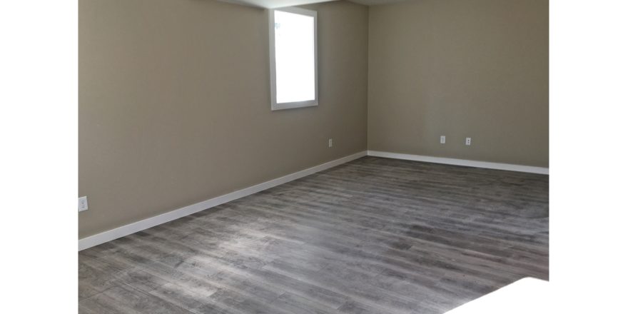 Unfurnished bedroom with gray wood-style flooring.