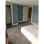 Bedroom with queen bed, dresser, and closet