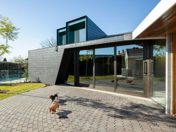a dog walking on a brick walkway in front of a house