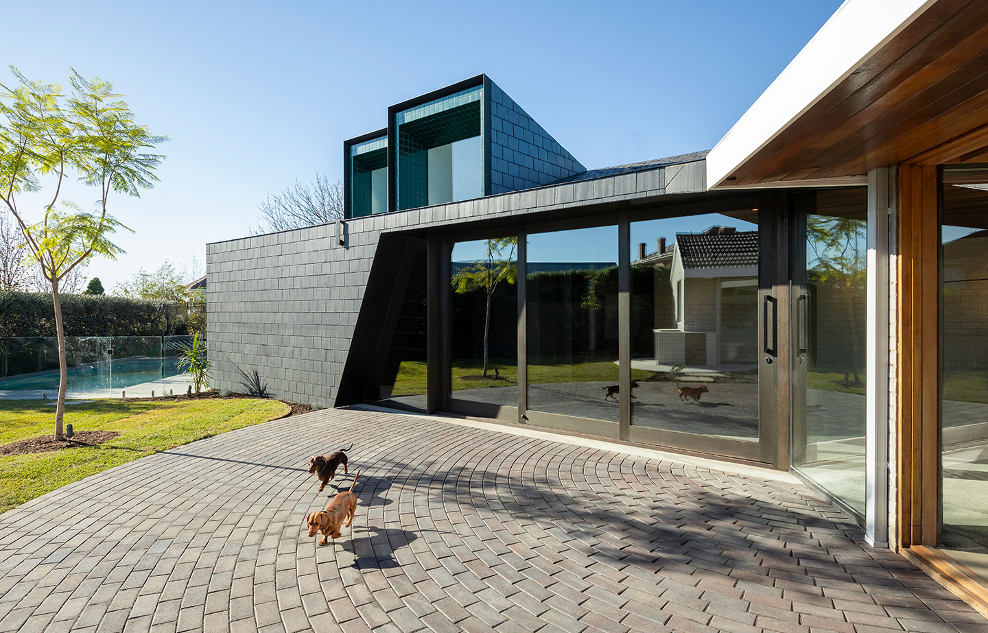 a dog walking on a brick walkway in front of a house