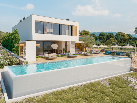 a house with a swimming pool in front of it