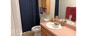 Bathroom with toilet, vanity with large mirror, medicine cabinet above the toilet, and shower curtain