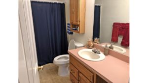 Bathroom with toilet, vanity with large mirror, medicine cabinet above the toilet, and shower curtain