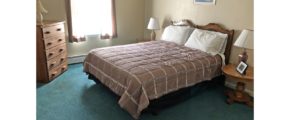 Carpeted bedroom with queen bed, two end tables with lamps, picture, window, and dresser with five drawers and a lamp on top