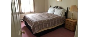 Carpeted bedroom with queen bed, window, picture, and wicker nightstand with lampe