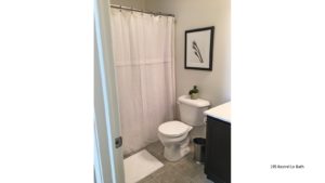 Bathroom with vanity, toilet, and shower curtain