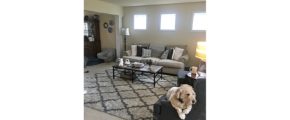 Carpeted living room with small, square windows; couch, armchairs, coffee table, and accent rug