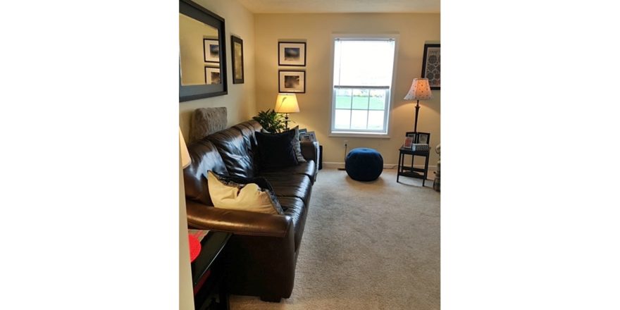 Furnished living room