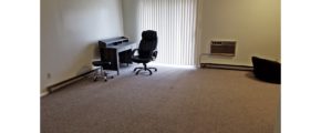 Carpeted living room with desk and desk chair