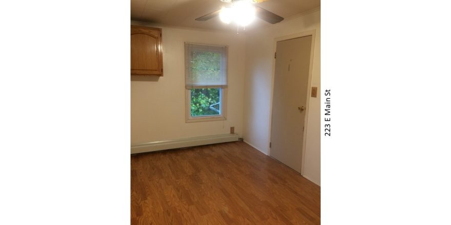 Room with ceiling fan, hardwood floors, window and closet