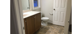 Bathroom with vanity and toilet