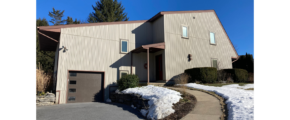 Modern house with crank windows and tan, vertical siding