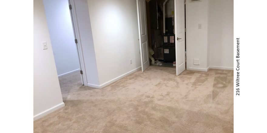 Basement room, carpeted with beige carpet, doorway on the left, closet ahead