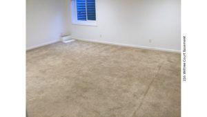 Carpeted basement unfurnished