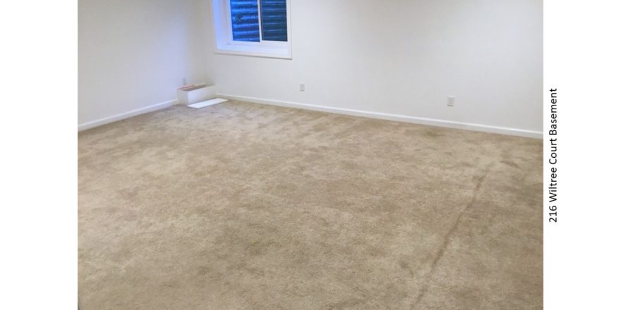 Carpeted basement unfurnished