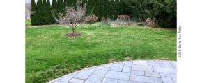Back yard with lawn, small fenced in garden and patio