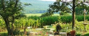 Outdoor with landscape