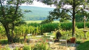 Outdoor with landscape