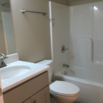 116 Deepwood Basement Bathroom