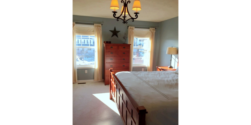 Furnished, carpeted bedroom with small chandelier lighting