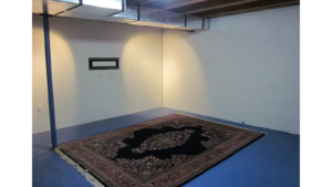 Basement with large area rug