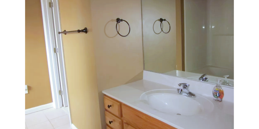 Bathroom with large vanity