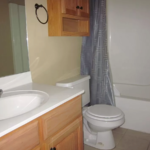 Bathroom with vanity, toilet, and tub/shower combo
