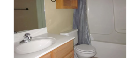 Bathroom with vanity, toilet, and tub/shower combo