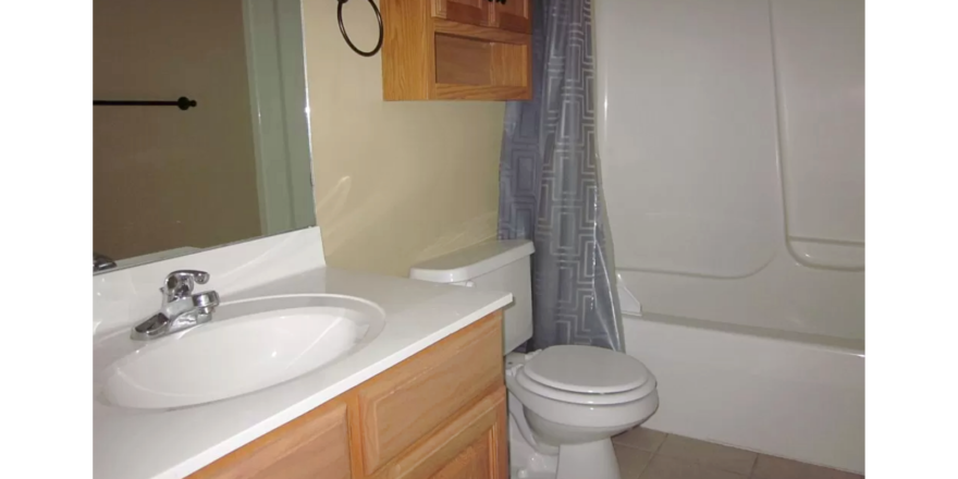 Bathroom with vanity, toilet, and tub/shower combo